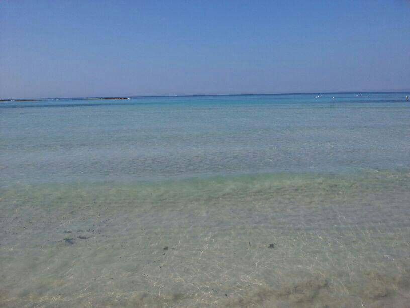 Photo of Others in Torre Mozza