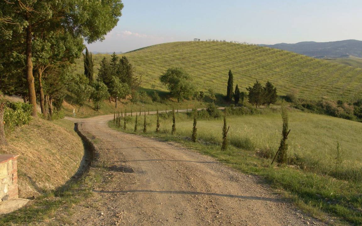 Photo of Others in Peccioli