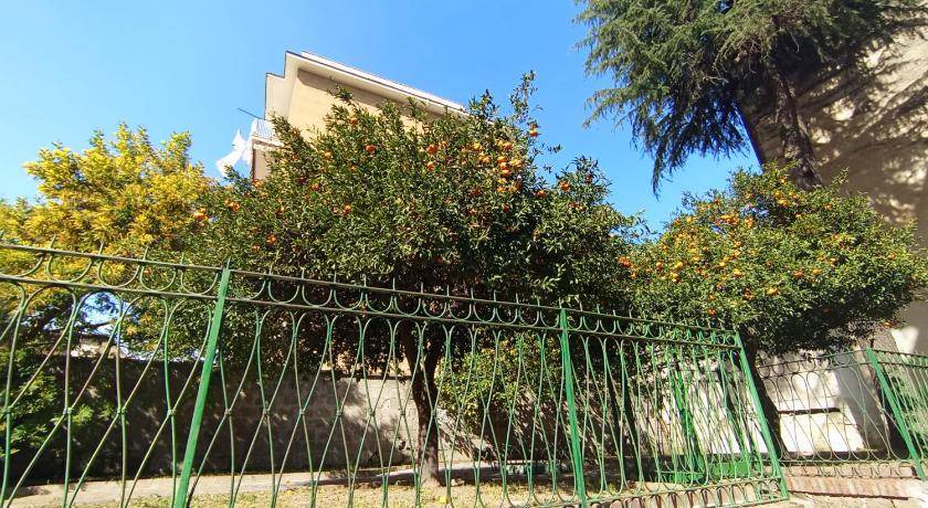Photo of Others in Naples