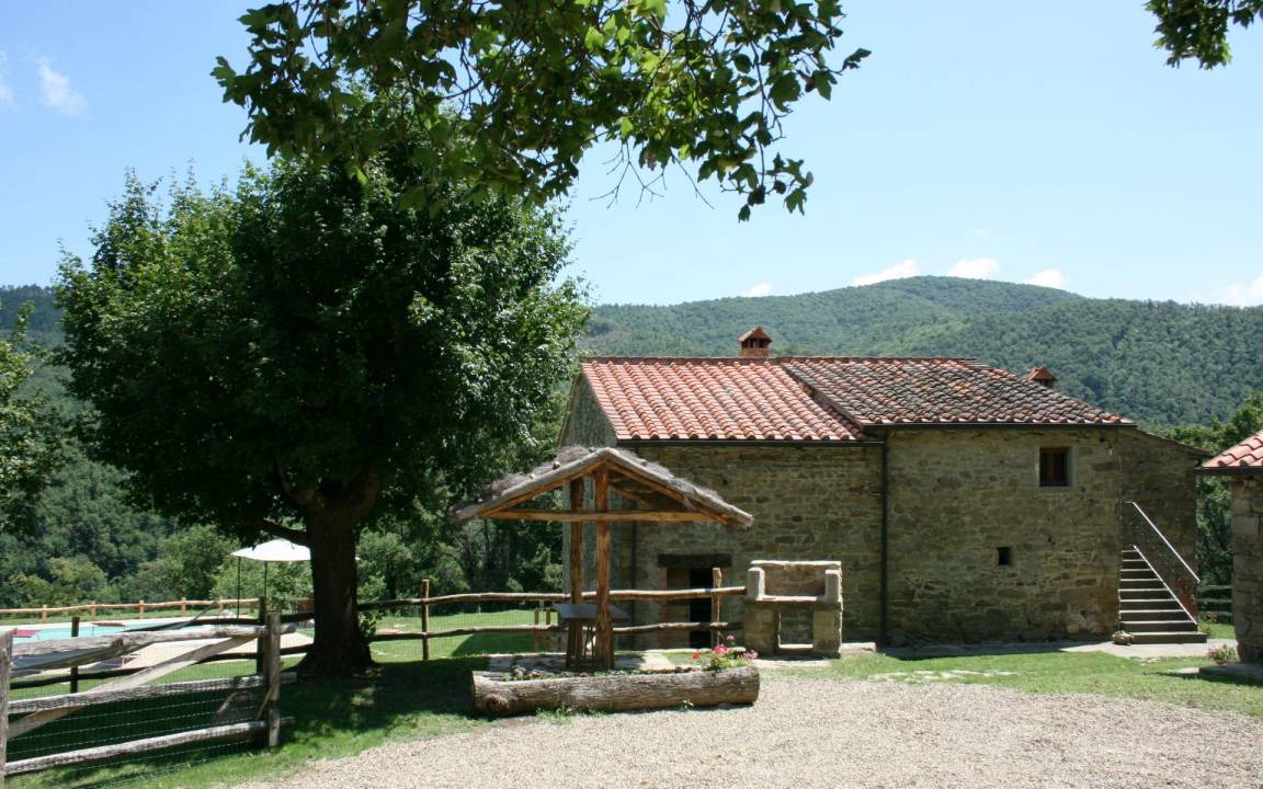 Photo of Others in Arezzo