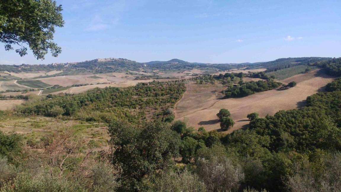 Photo of Others in Montefollonico