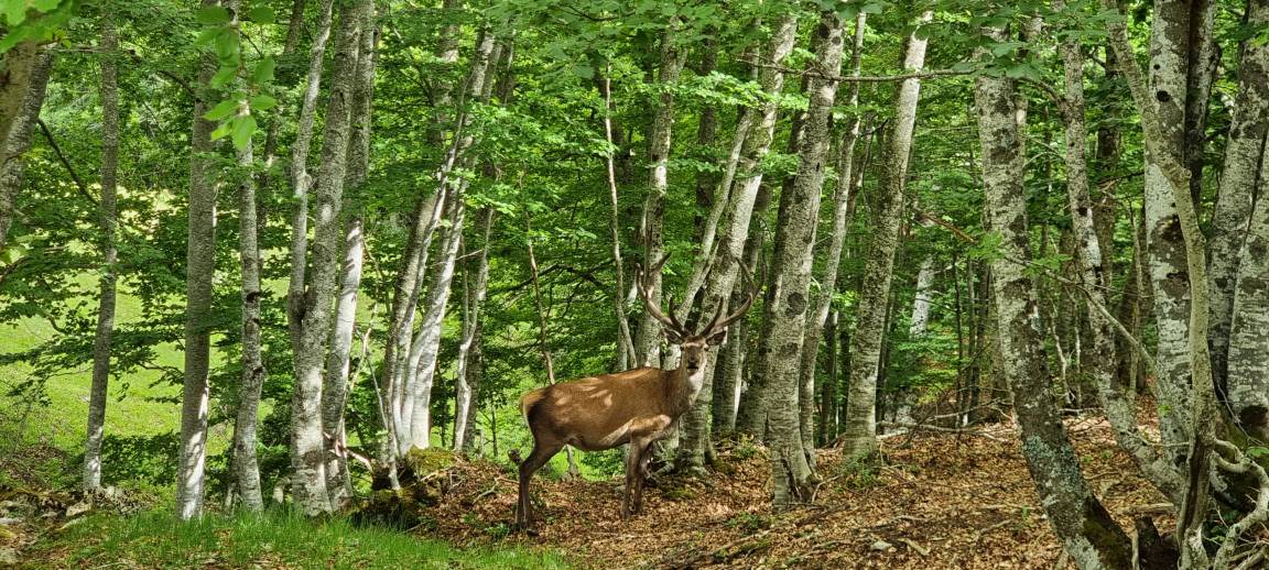 Photo of Others in Valle del Sole