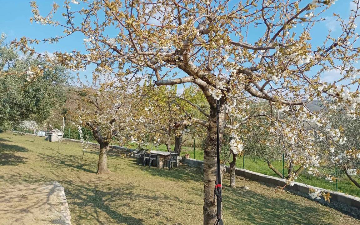 Photo of Outdoor in Sant'Ambrogio di Valpolicella