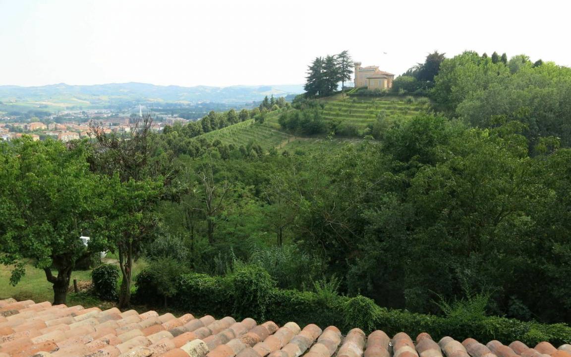 Photo of Others in Nizza Monferrato