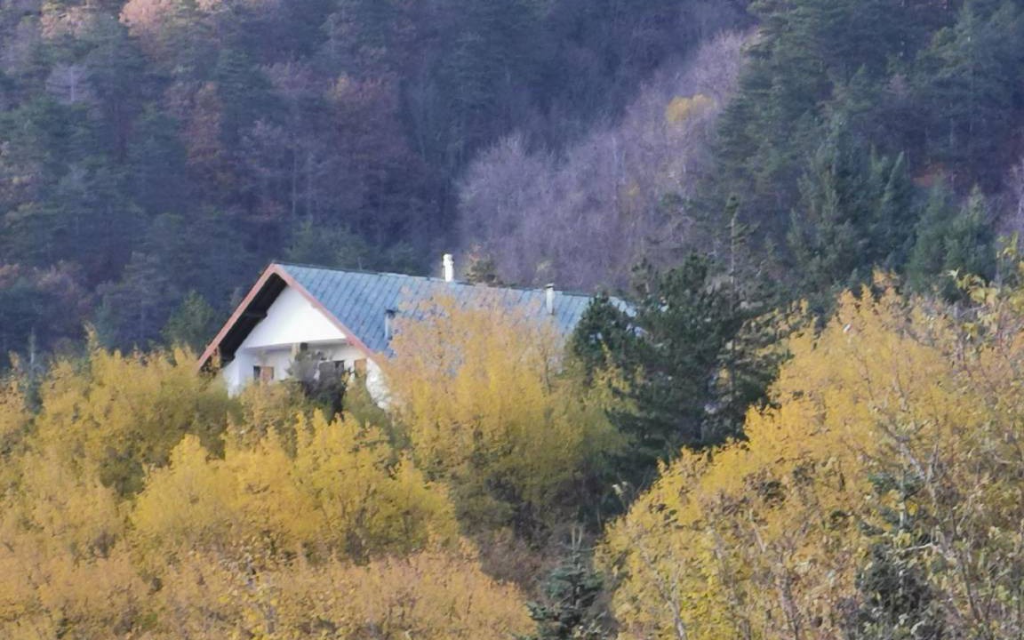 Photo of Others in Borzonasca