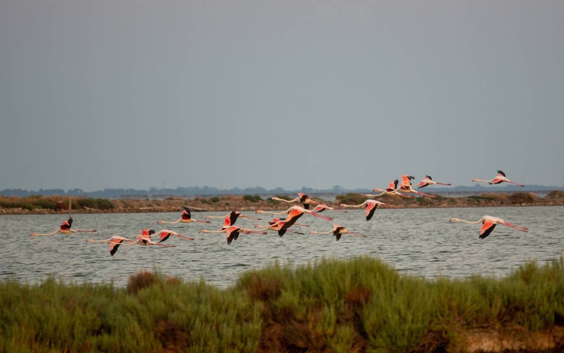 Photo of Others in Lido degli Estensi