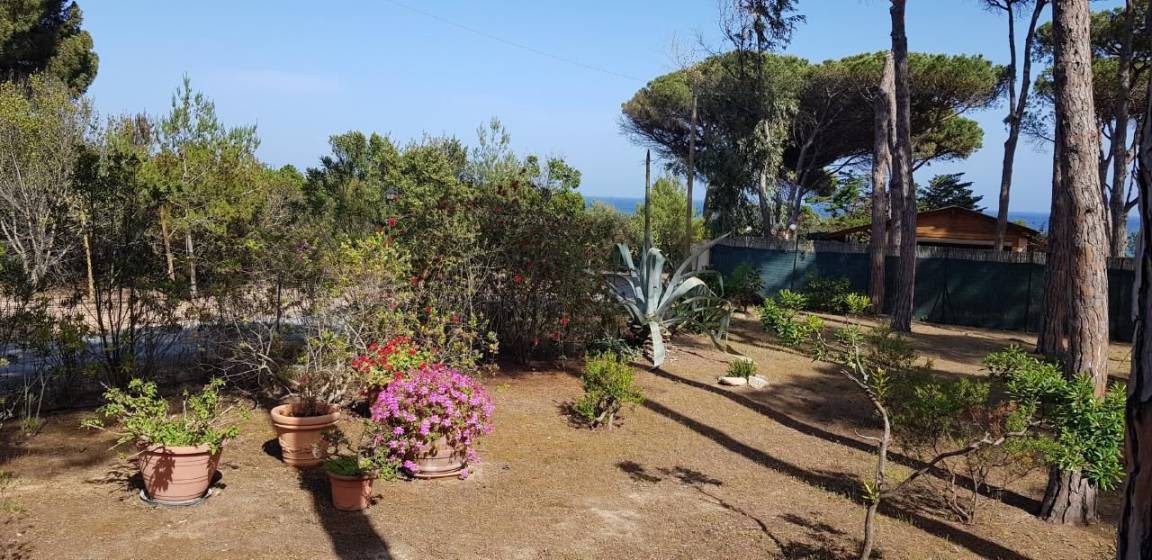 Photo of Others in Santa Margherita di Pula