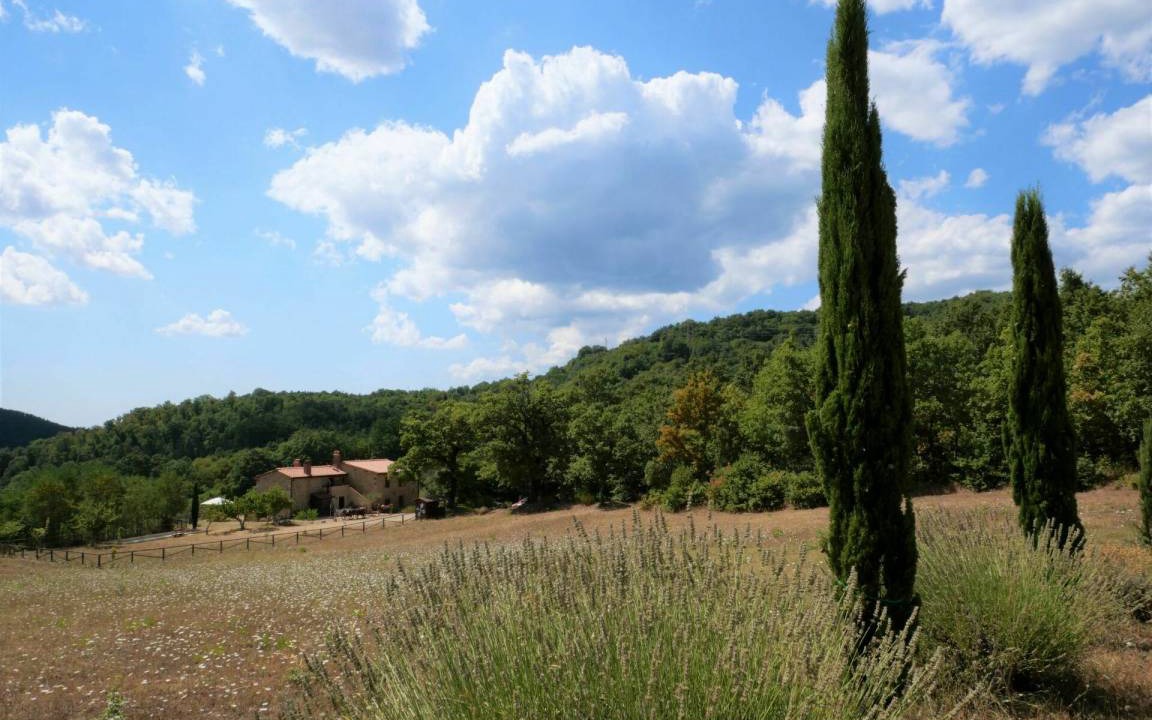 Photo of Others in Massa Marittima
