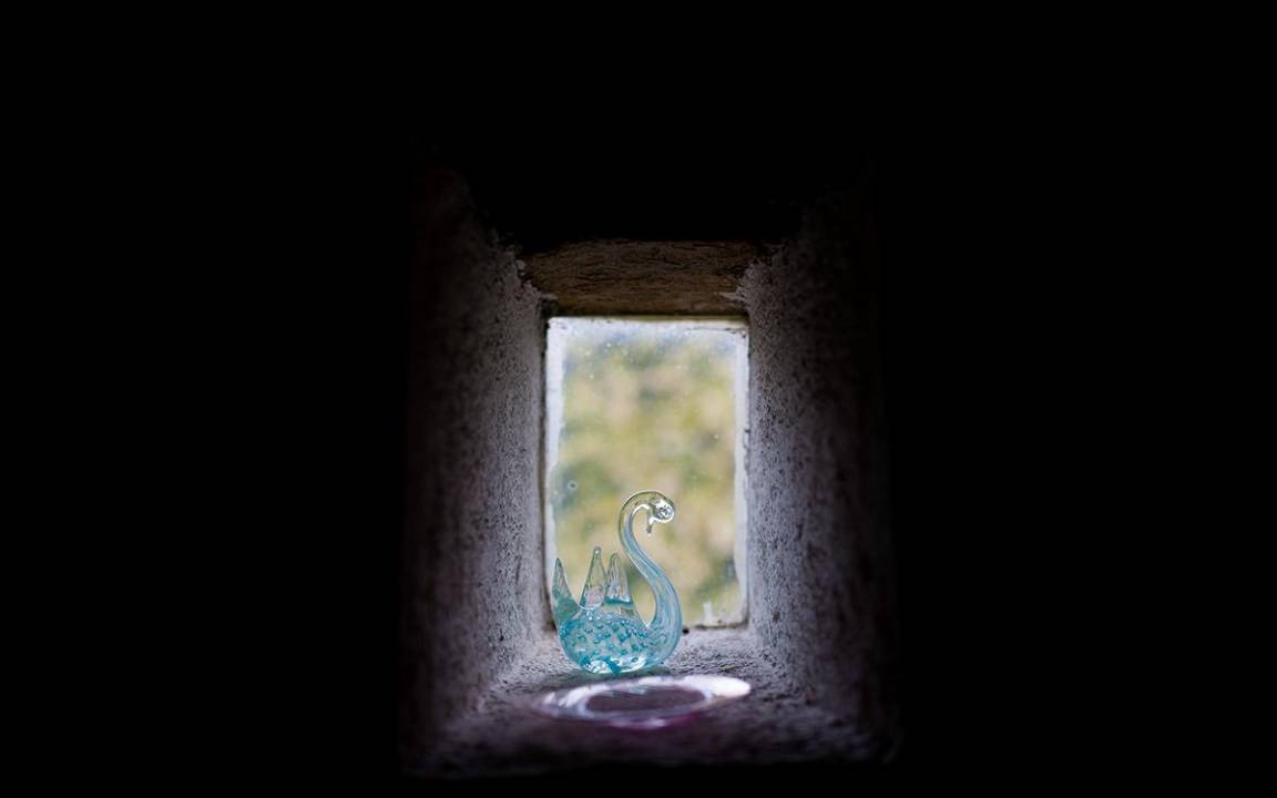 Photo of Others in Vergemoli