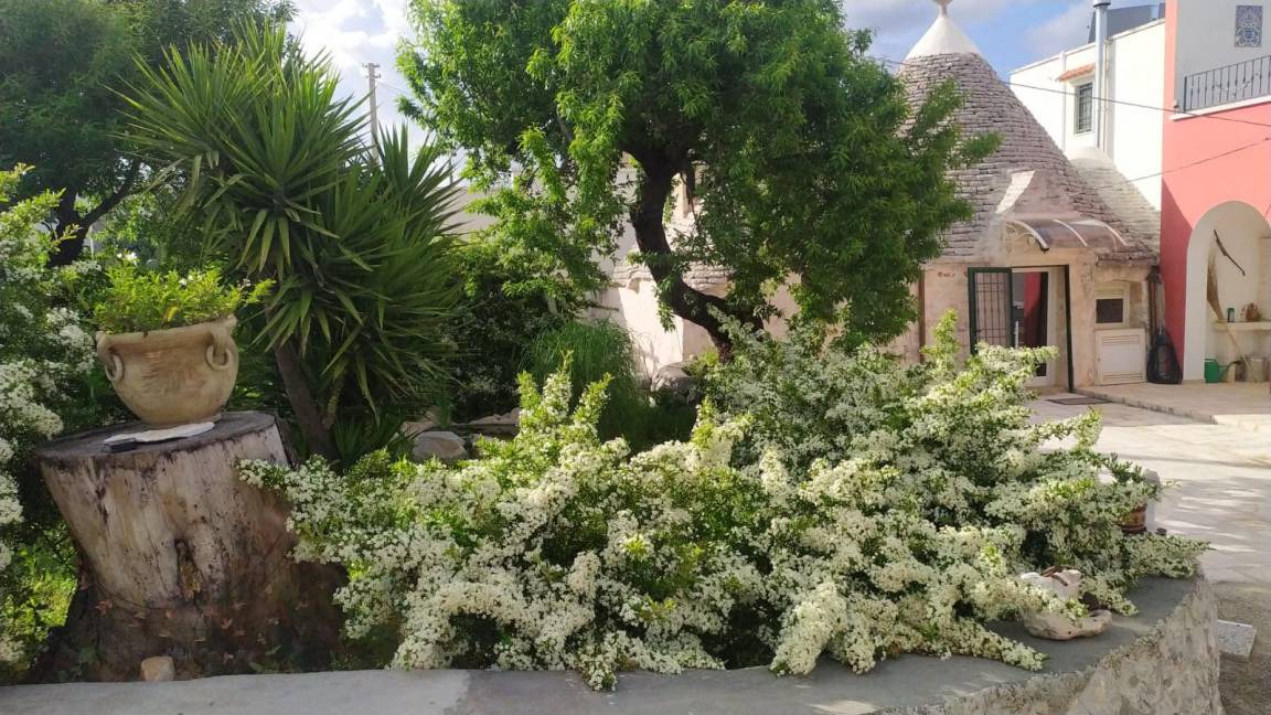 Photo of Others in Ostuni