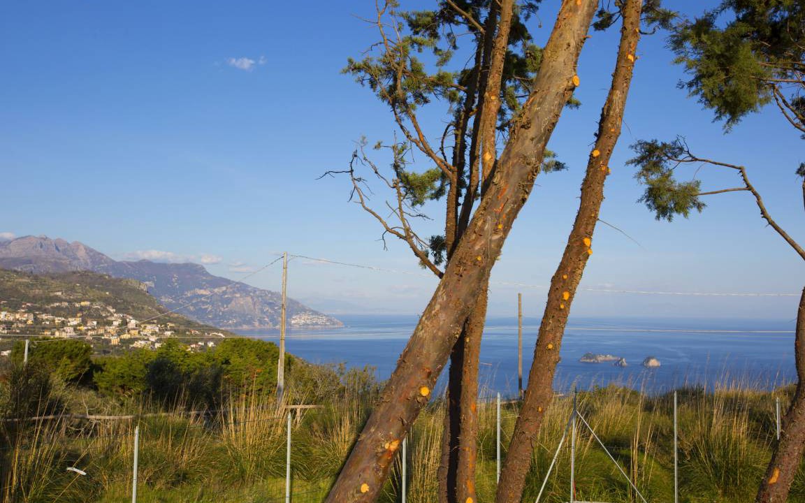 Photo of Others in Massa Lubrense