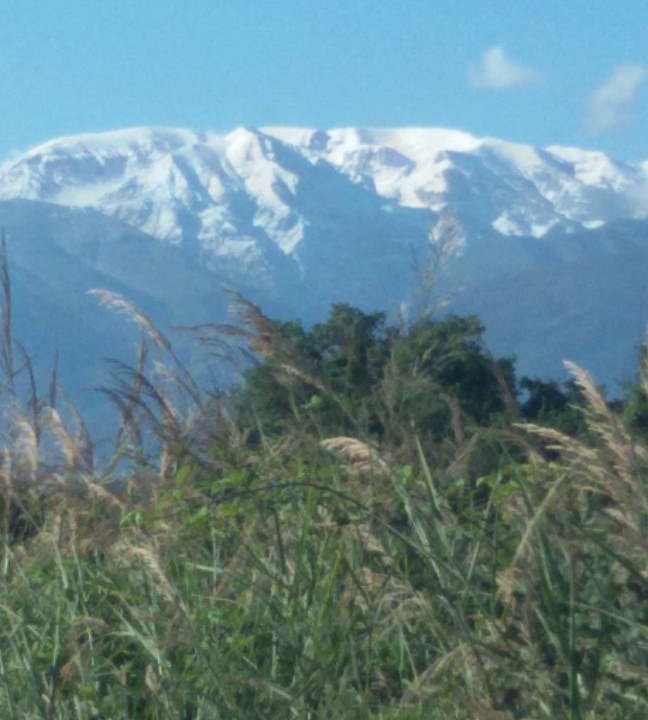 Photo of Others in Canosa Sannita