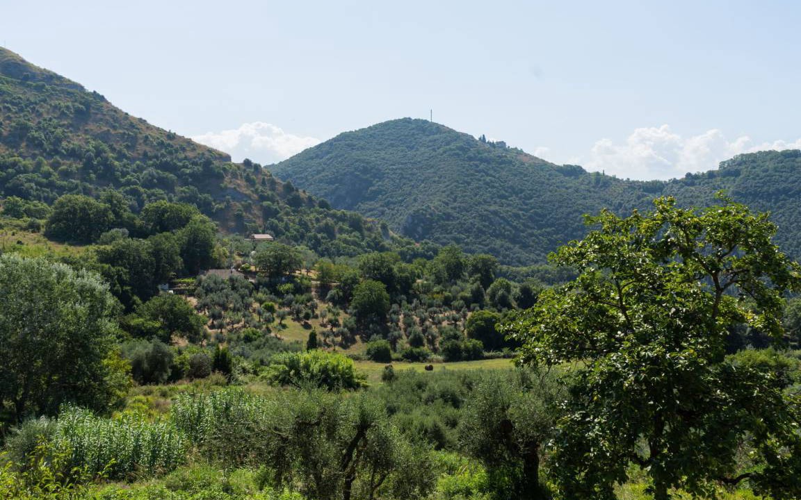Photo of Others in Salisano