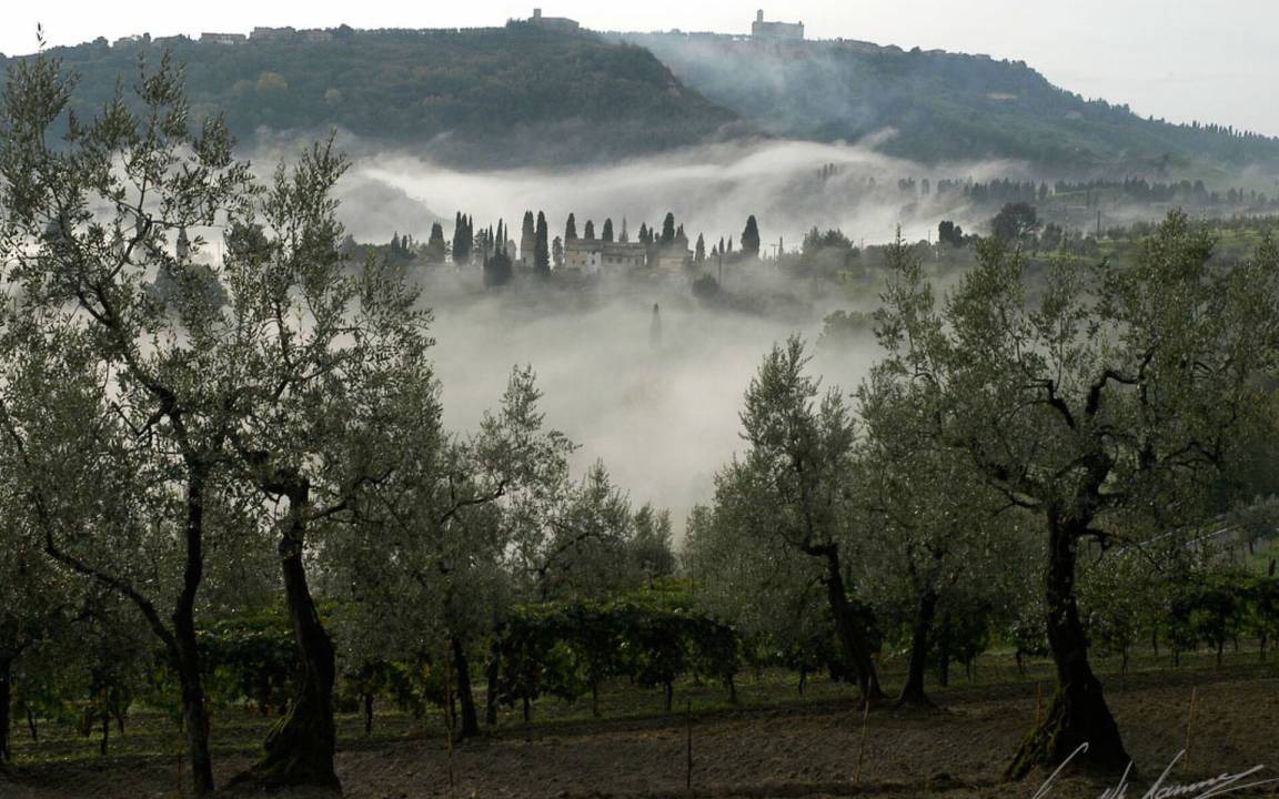 Photo of Others in Volterra