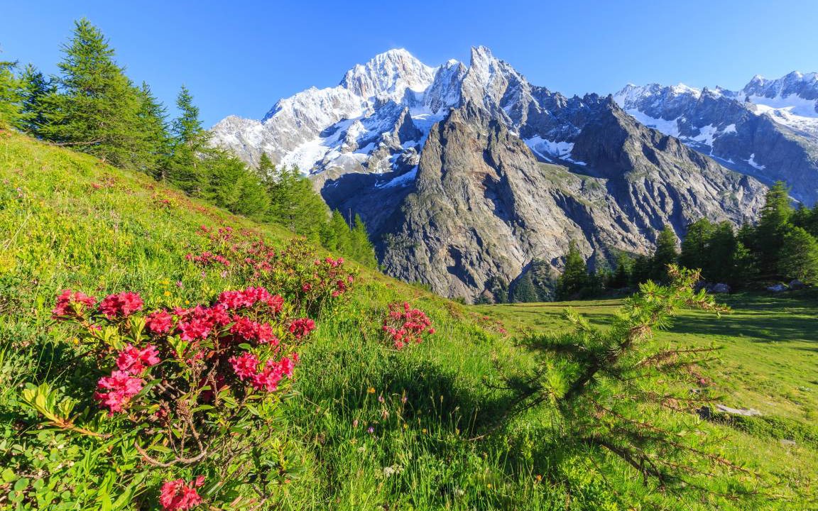 Photo of Others in Courmayeur