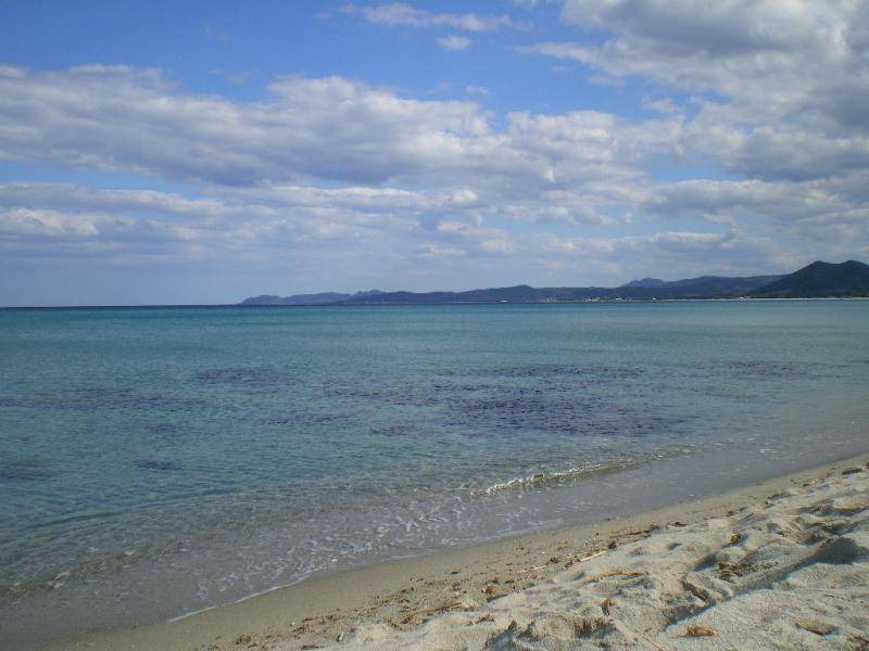 Photo of Others in Torpe