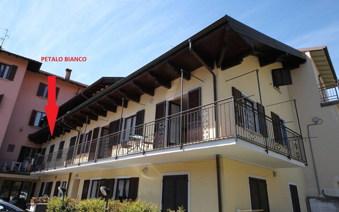 Photo of Others in Baveno