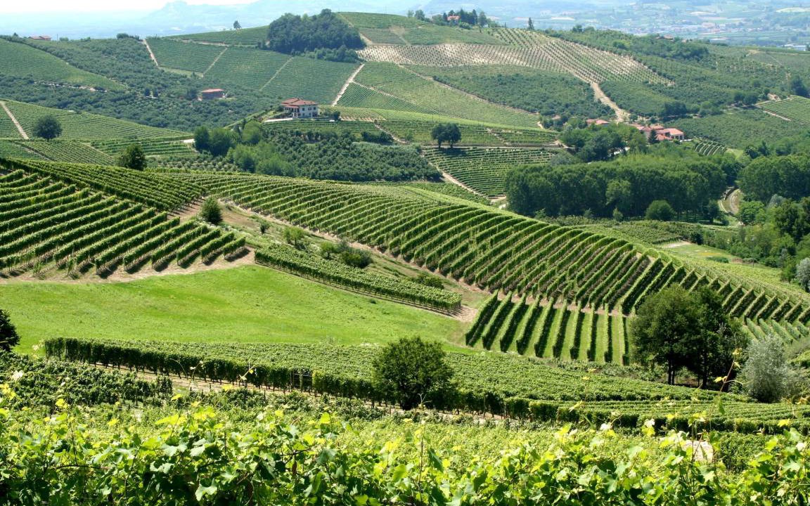 Photo of Others in Bistagno