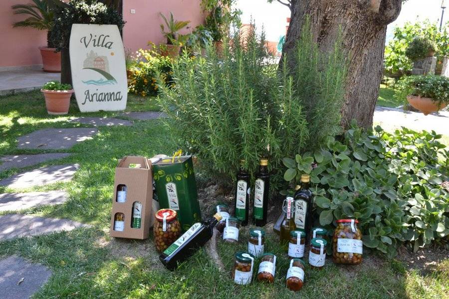 Photo of Others in Imperia