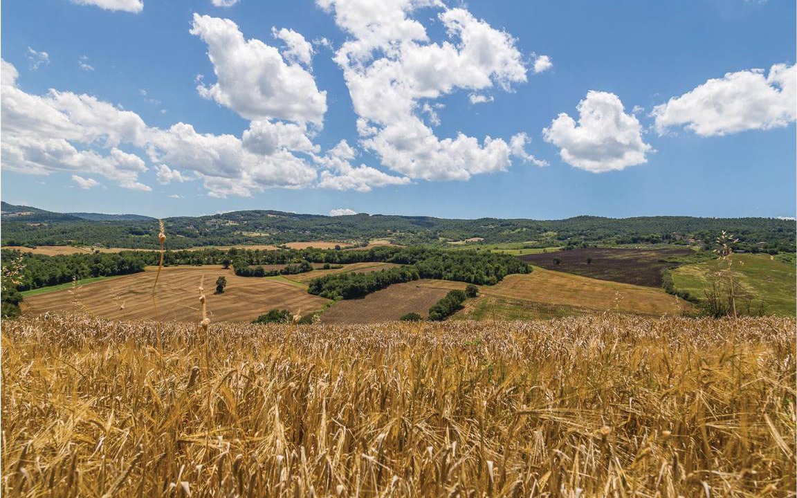 Photo of Others in Montecastrilli