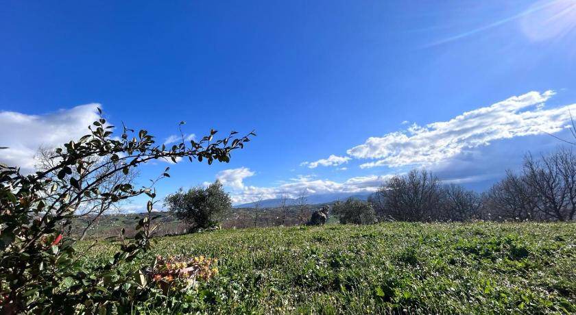 Photo of Outdoor in Busso
