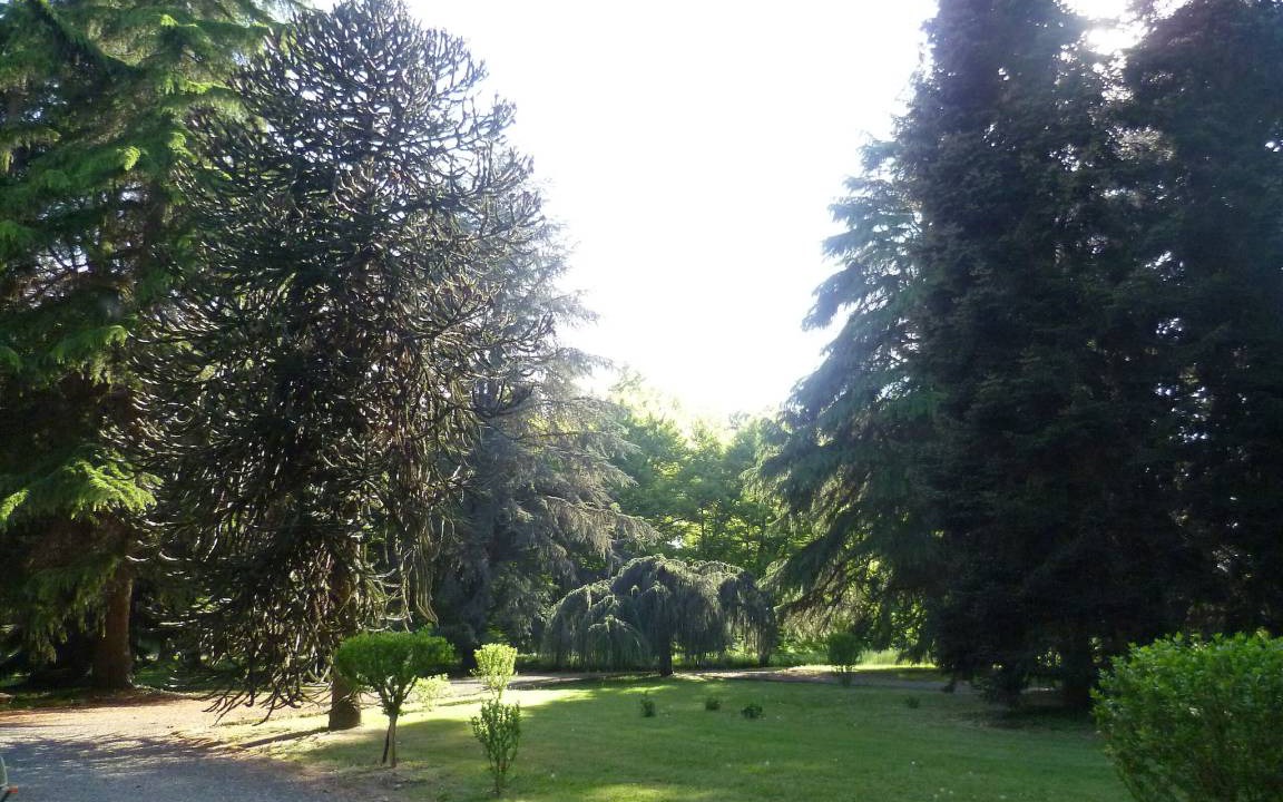 Photo of Others in Bistagno
