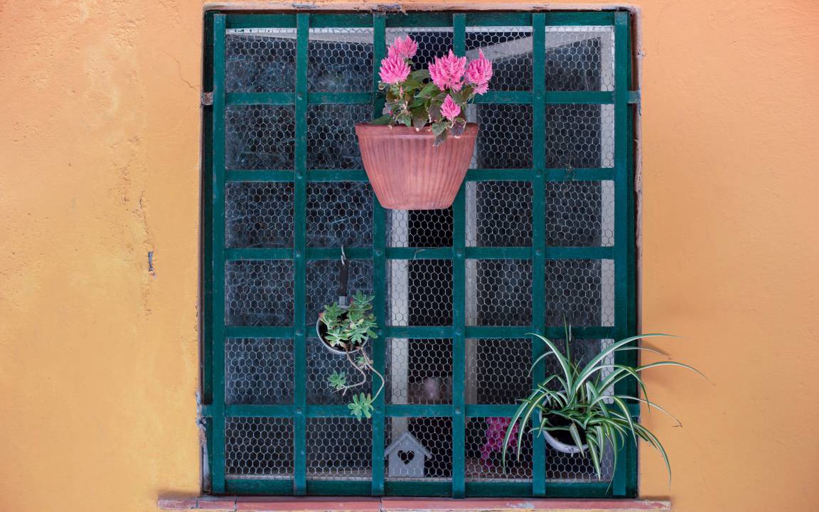 Photo of Others in Moneglia