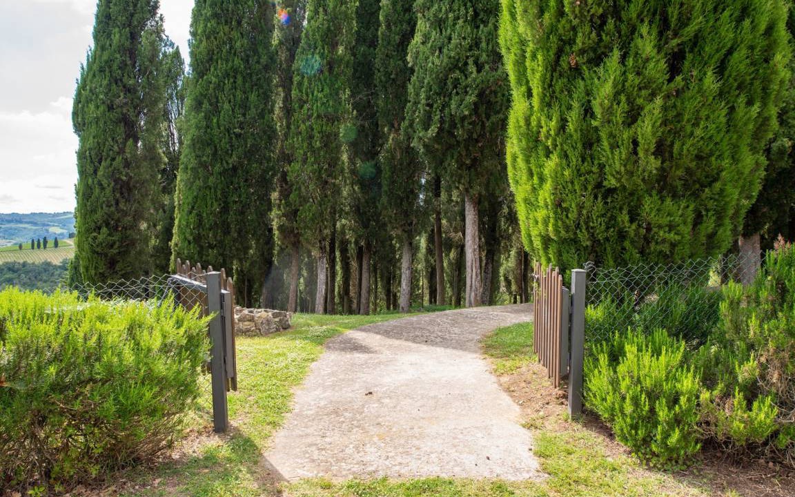 Photo of Others in Gaiole in Chianti