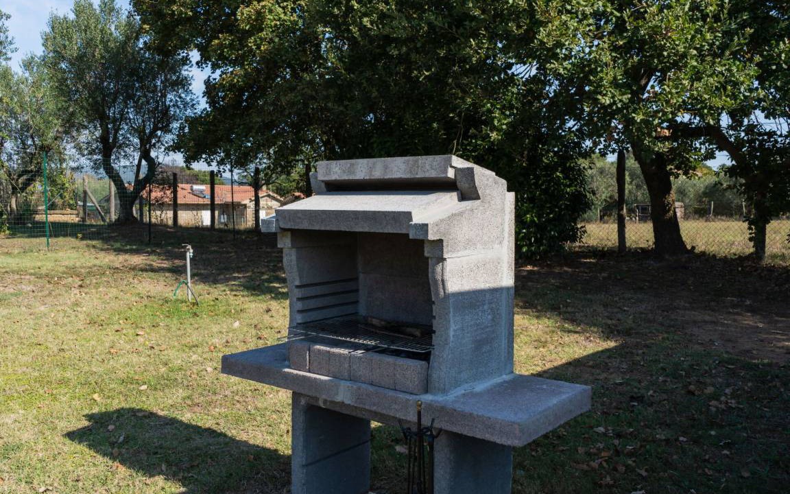 Photo of Others in Canale Monterano