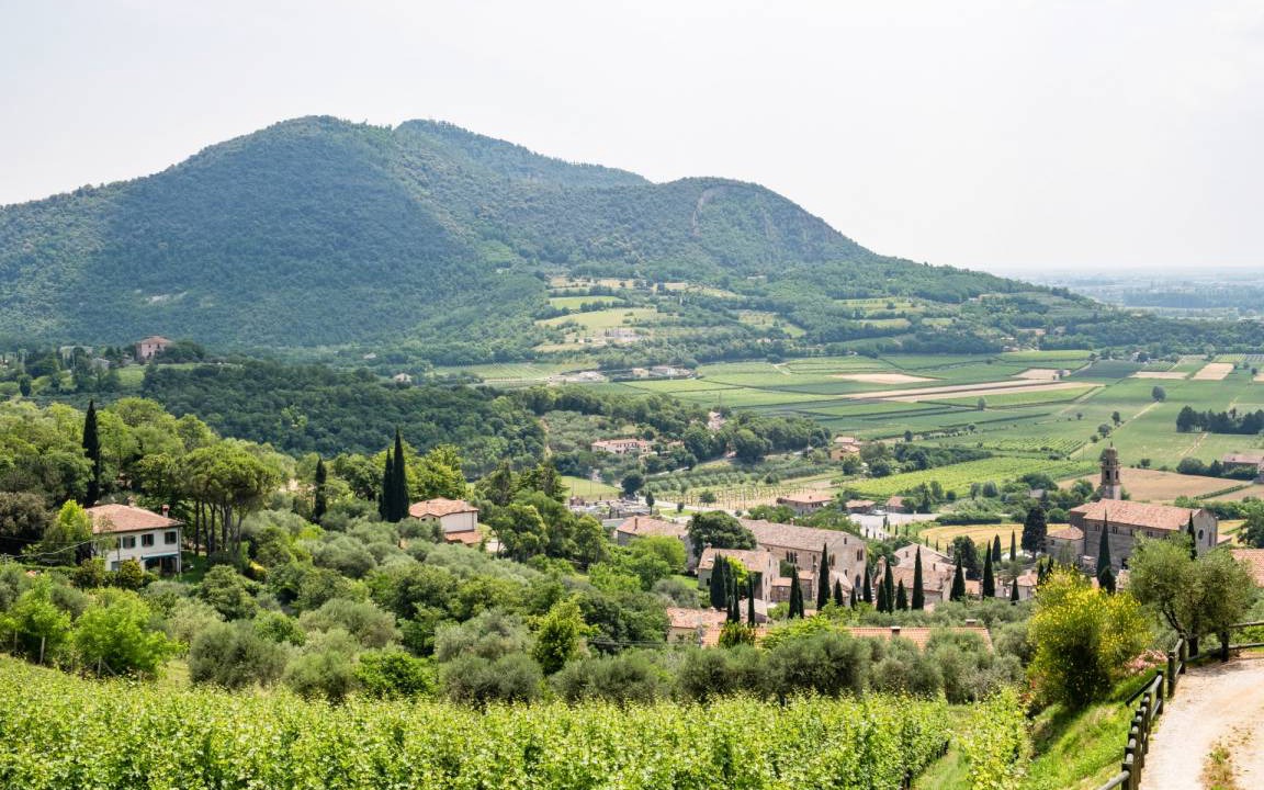 Photo of Others in Arqua Petrarca