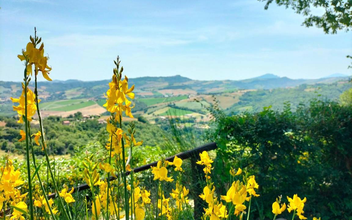 Photo of Others in Penna San Giovanni