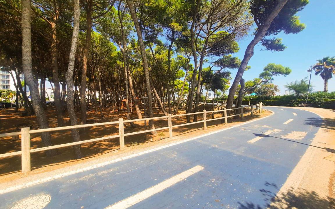 Photo of Outdoor in Alba Adriatica
