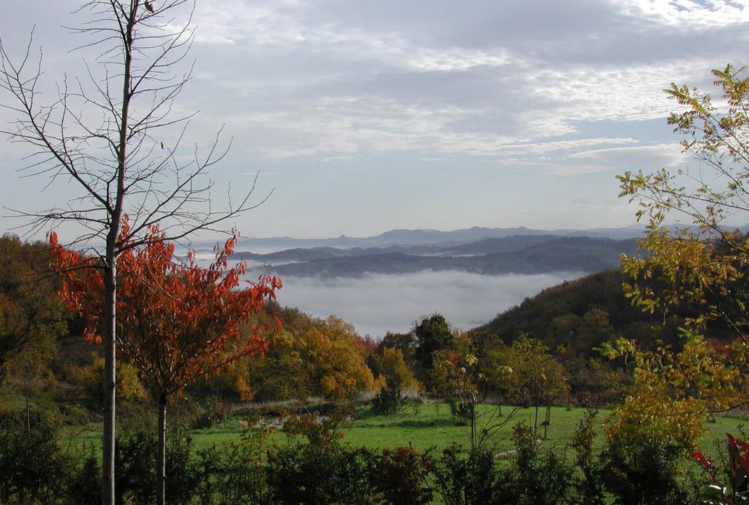 Photo of Others in Langhirano