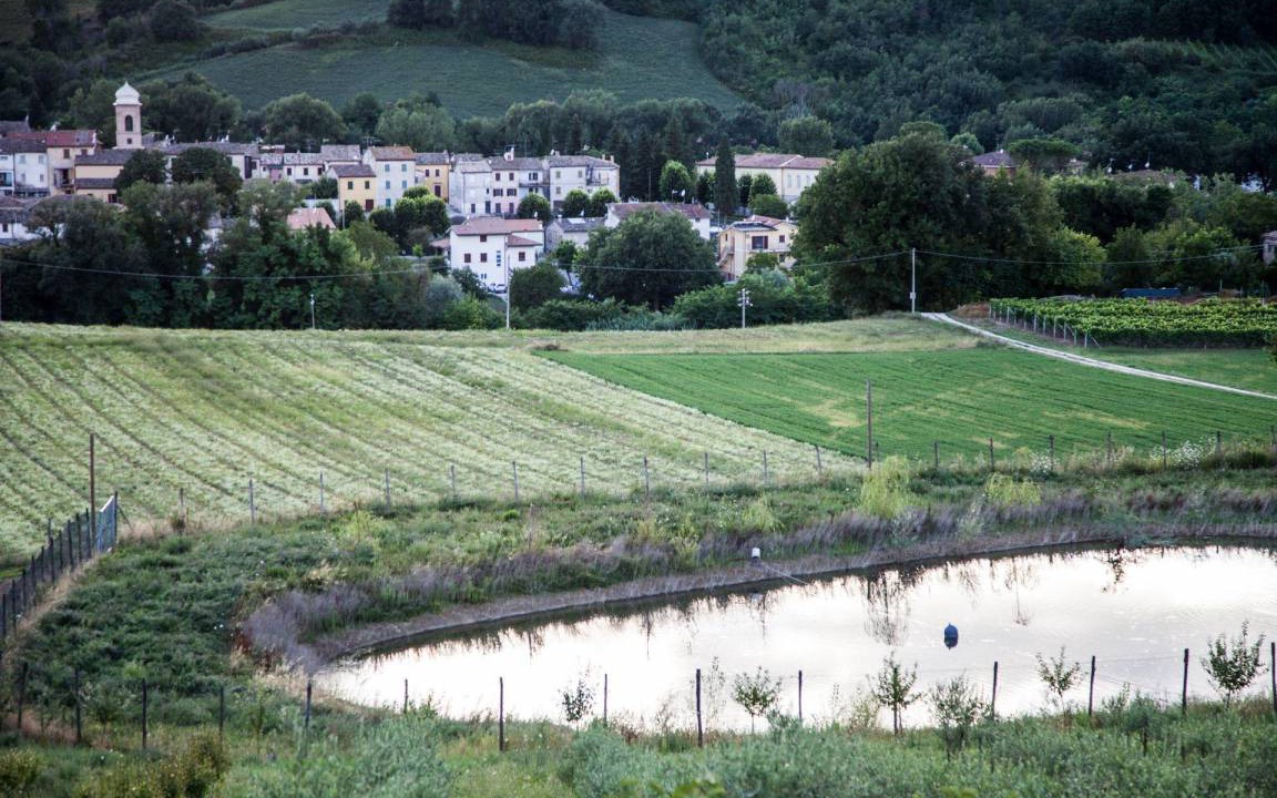 Photo of Others in Fossombrone