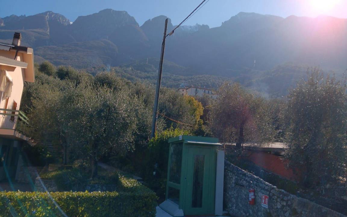 Photo of Others in Assenza