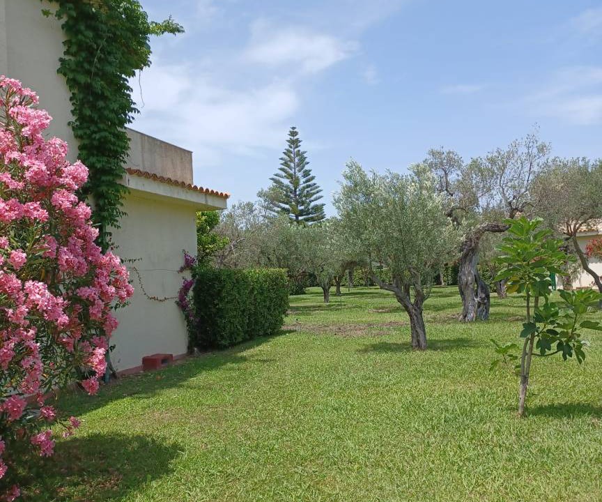 Photo of Others in Sant'Andrea Apostolo dello Ionio