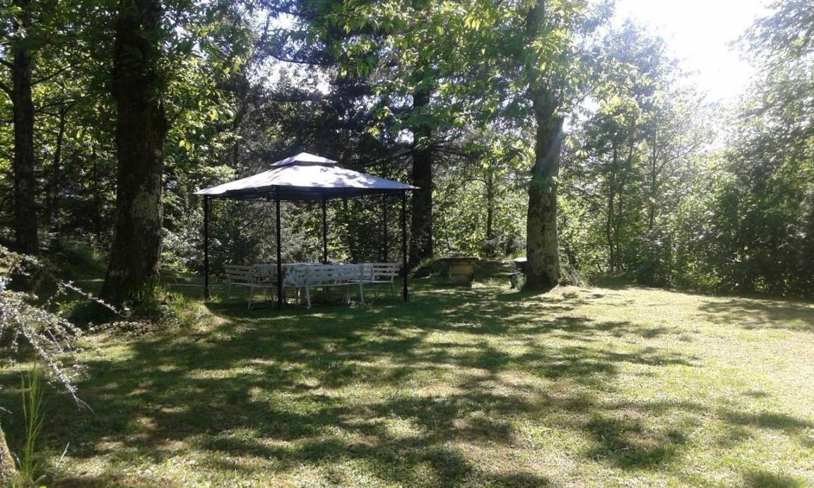 Photo of Outdoor in Borzonasca