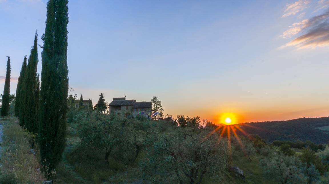 Photo of Others in Castellina in Chianti