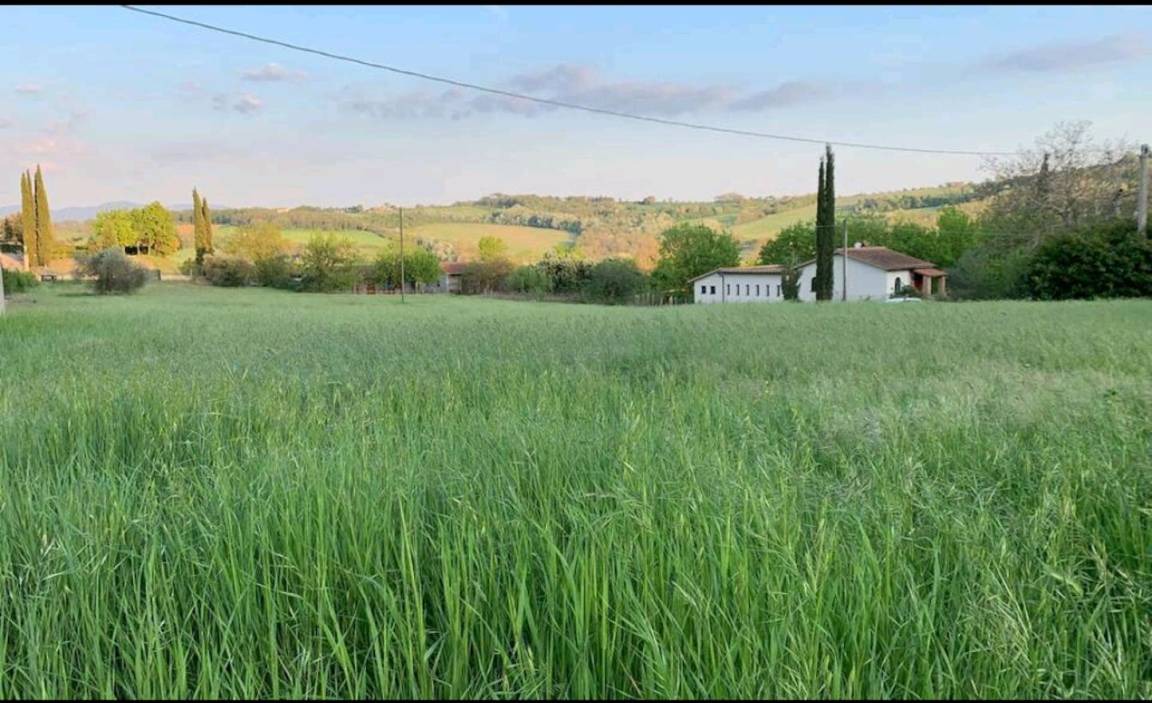 Photo of Others in Penna in Teverina