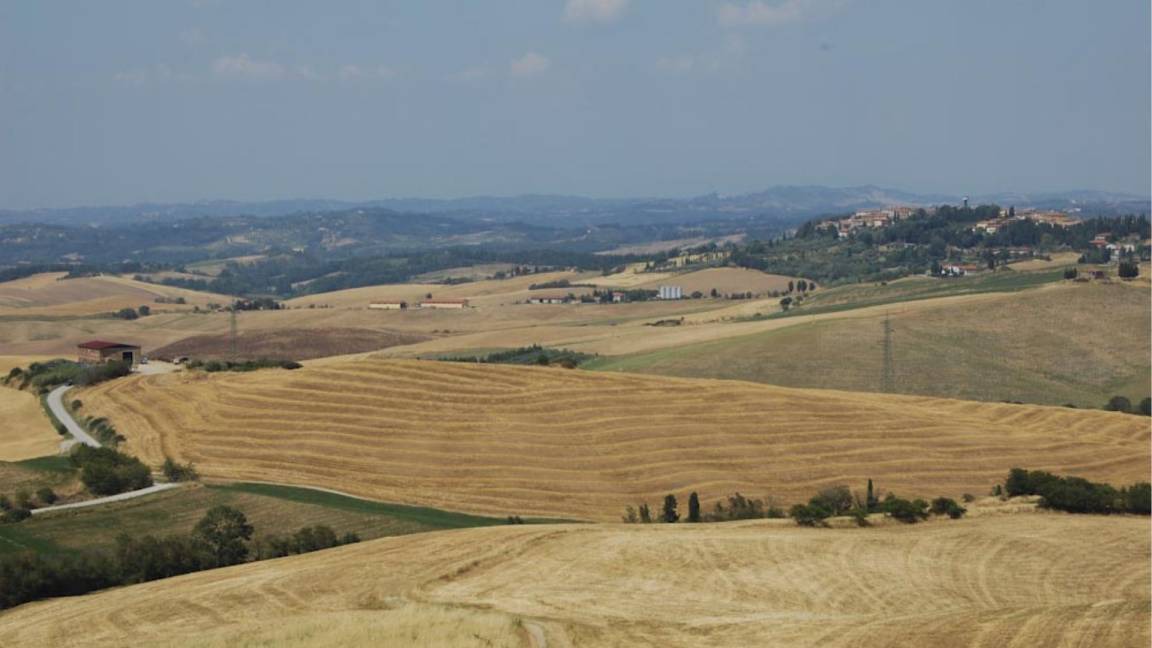 Photo of Others in Lajatico