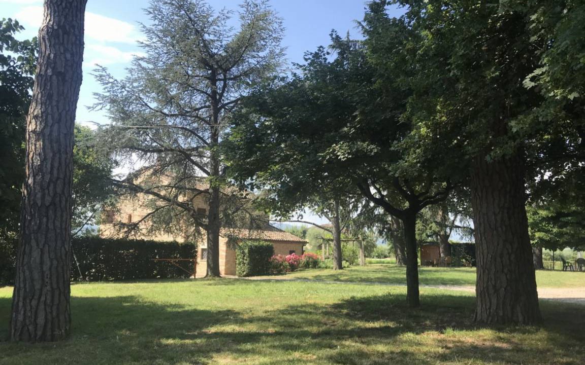 Photo of Buildings in Falerone