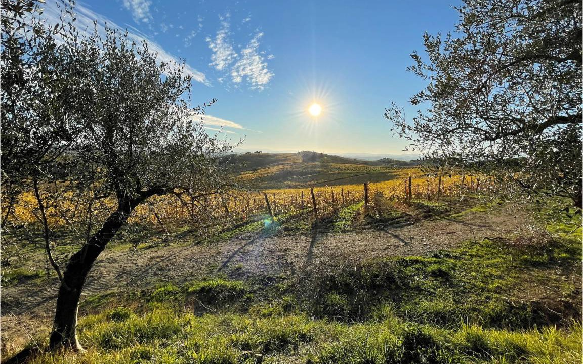 Photo of Others in Greve in Chianti