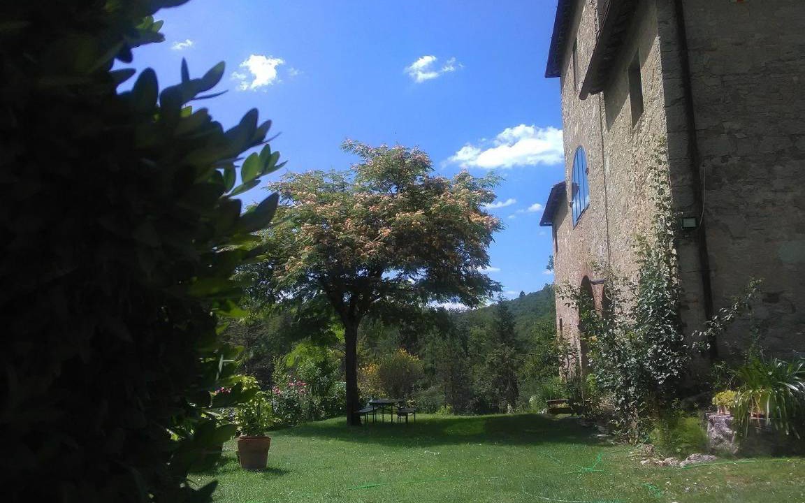 Photo of Others in Gaiole in Chianti