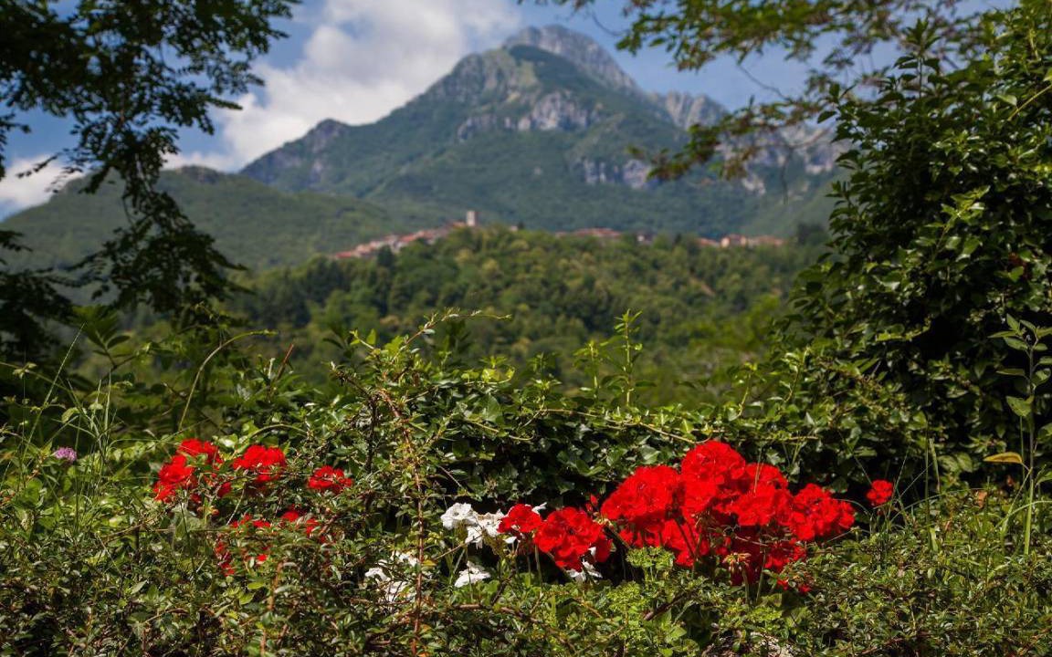 Photo of Others in Vergemoli