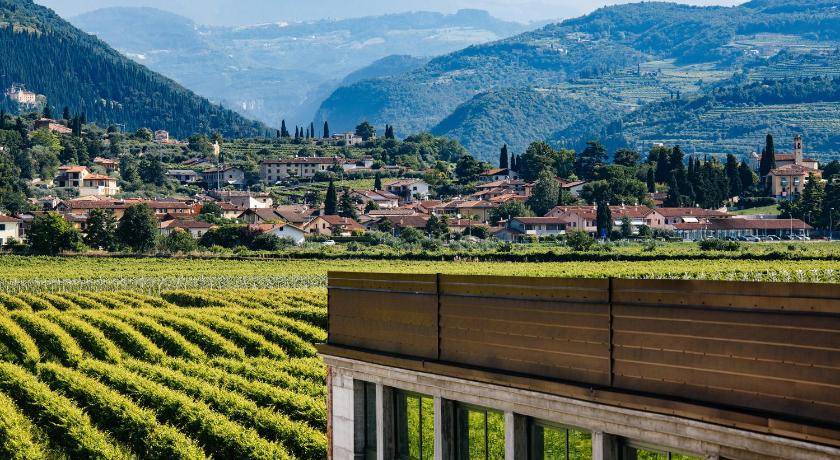 Photo of Others in Gargagnago di Valpolicella