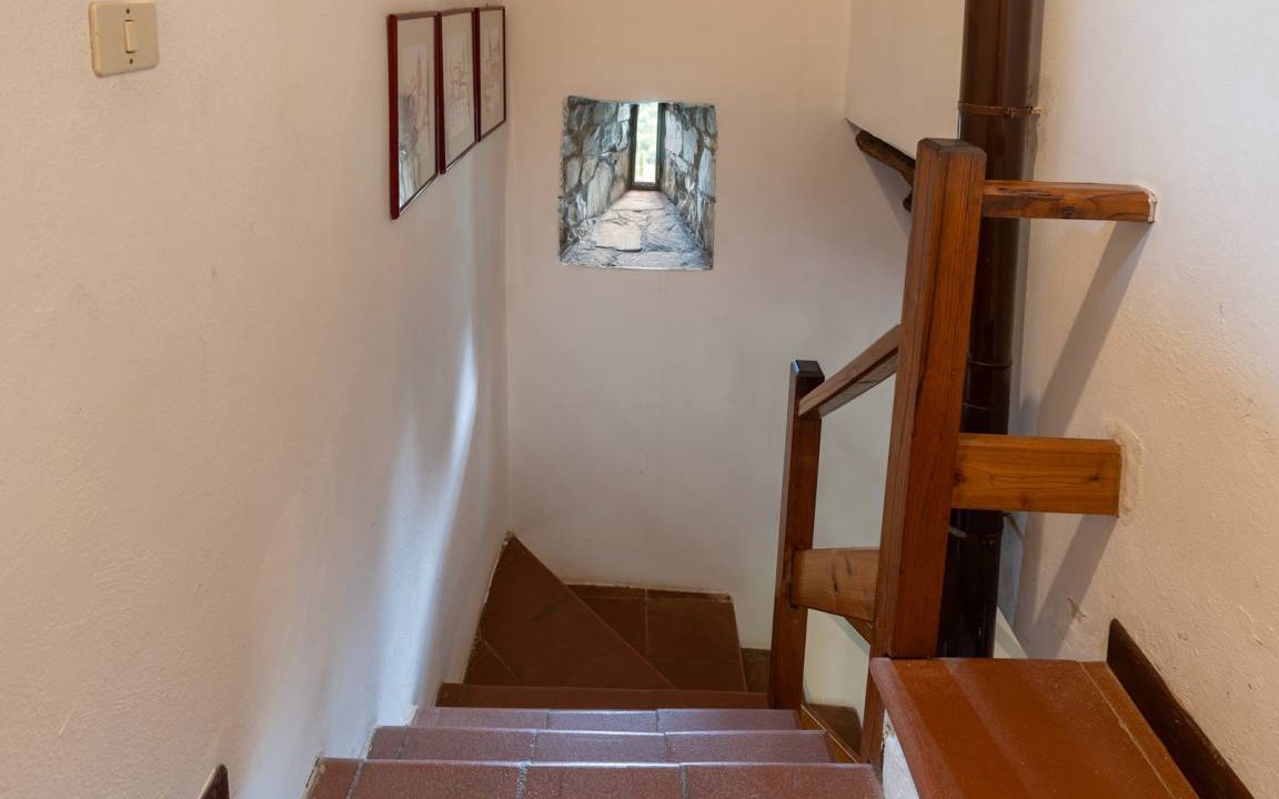 Photo of Others in Gaiole in Chianti