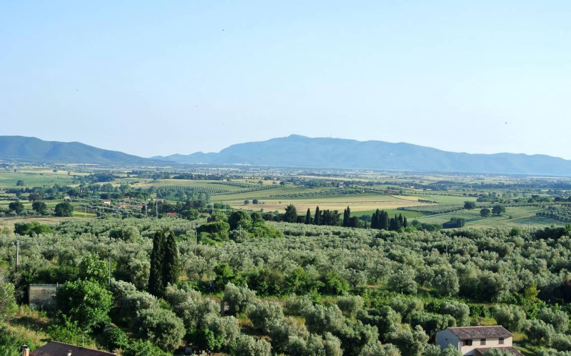 Photo of Others in Magliano in Toscana