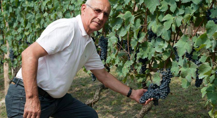 Photo of Others in Barbaresco