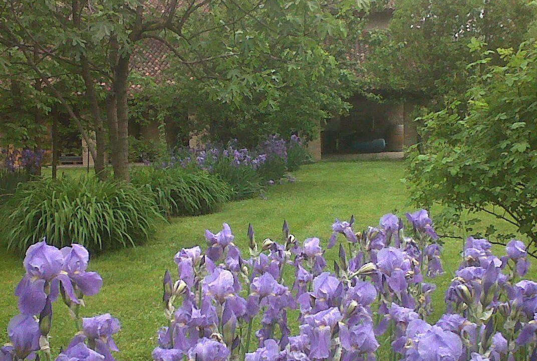 Photo of Outdoor in Clauiano