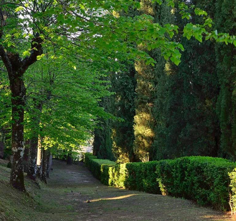 Photo of Others in Chiusi